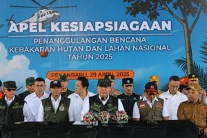 www.bintasara.com