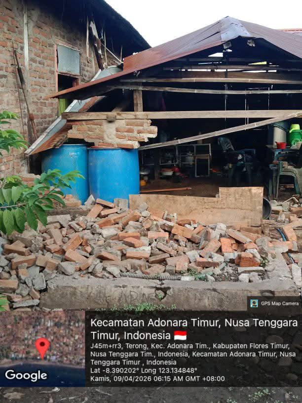Gempa M4,7 Guncang Flores Timur, 15 Warga Alami Luka