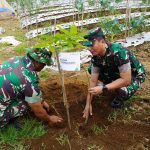 Kolaborasi Hijau di Lereng Sumbing: Dandim Temanggung dan GP Ansor Tanam Ribuan Pohon di Harlah ke-92