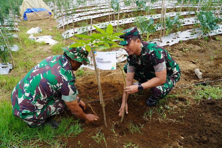 Kolaborasi Hijau di Lereng Sumbing: Dandim Temanggung dan GP Ansor Tanam Ribuan Pohon di Harlah ke-92