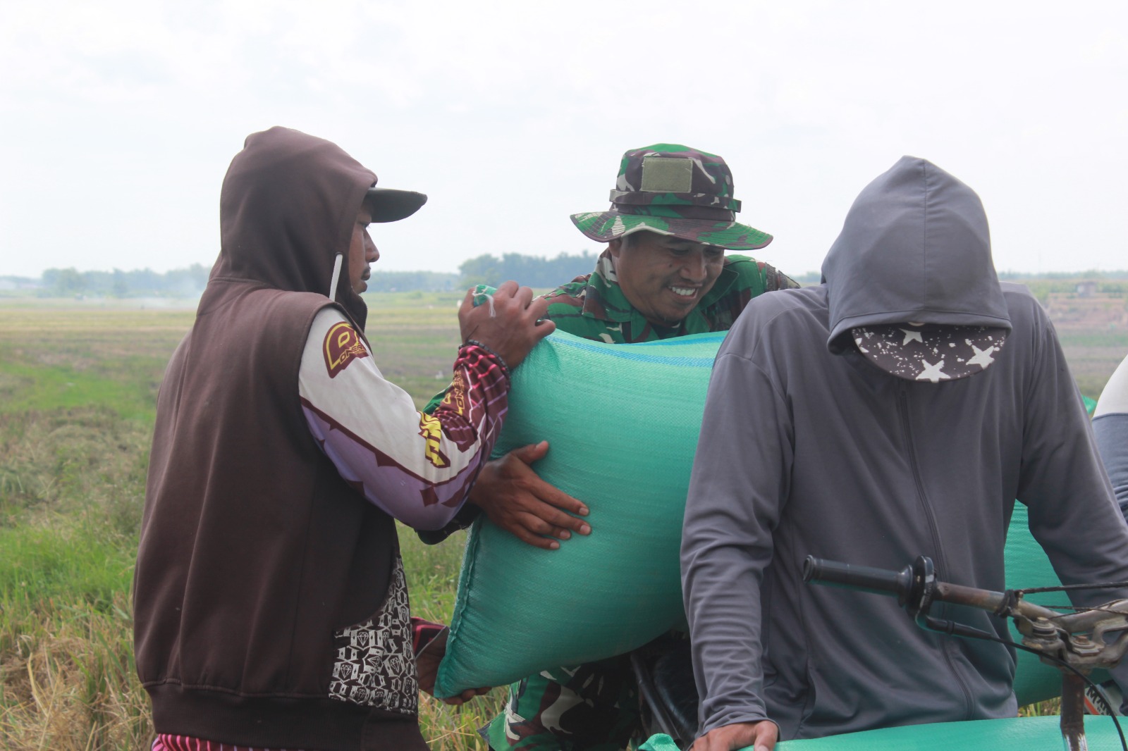 Aksi Humanis TNI di Sawah: Satgas TMMD Pati Turun Tangan Angkut Gabah, Ringankan Beban Petani