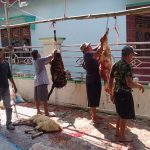 Sudah Tradisi 17 Tahun, Warga Desa Blok Bojong Berqurban Terpusat di Masjid