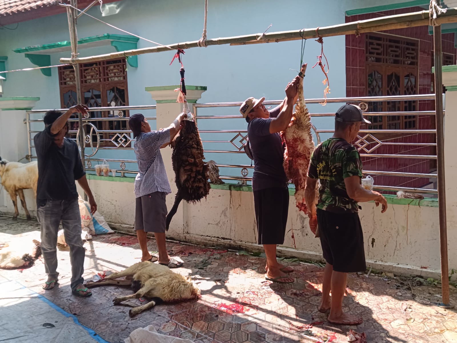 Sudah Tradisi 17 Tahun, Warga Desa Blok Bojong Berqurban Terpusat di Masjid