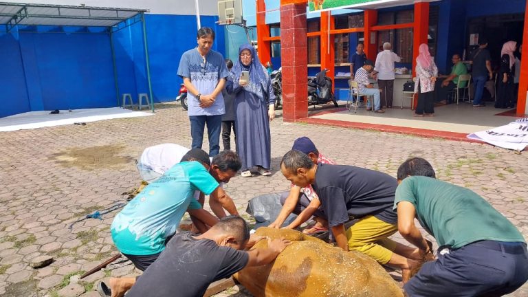 https://bintasara.com/SMSI Sumut dan STIK-P Medan sembelih hewan kurban