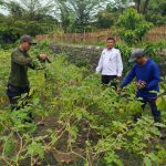 https://bintasara.com/Perkebunan Produktif Lapas Cilegon