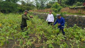 https://bintasara.com/Perkebunan Produktif Lapas Cilegon