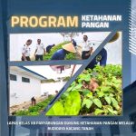 Dukung Ketahanan Pangan, Lapas Panyabungan Melaksanakan Kegiatan Budidaya Kacang Tanah di Area Lahan Pertanian