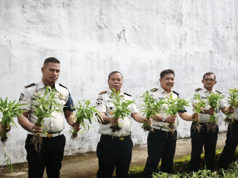 Wujud Ketahanan Pangan, Lapas Kelas IIB Gunungsitoli Berhasil Panen Raya Kangkung 50 Kg