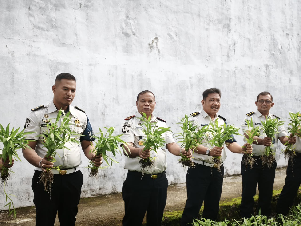 Wujud Ketahanan Pangan, Lapas Kelas IIB Gunungsitoli Berhasil Panen Raya Kangkung 50 Kg