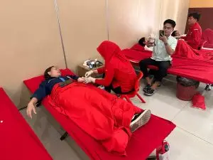 https://bintasara.com/