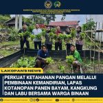 Lapas Kotanopan Berhasil Panen Sayuran, Warga Binaan Makin Produktif dan Mandiri