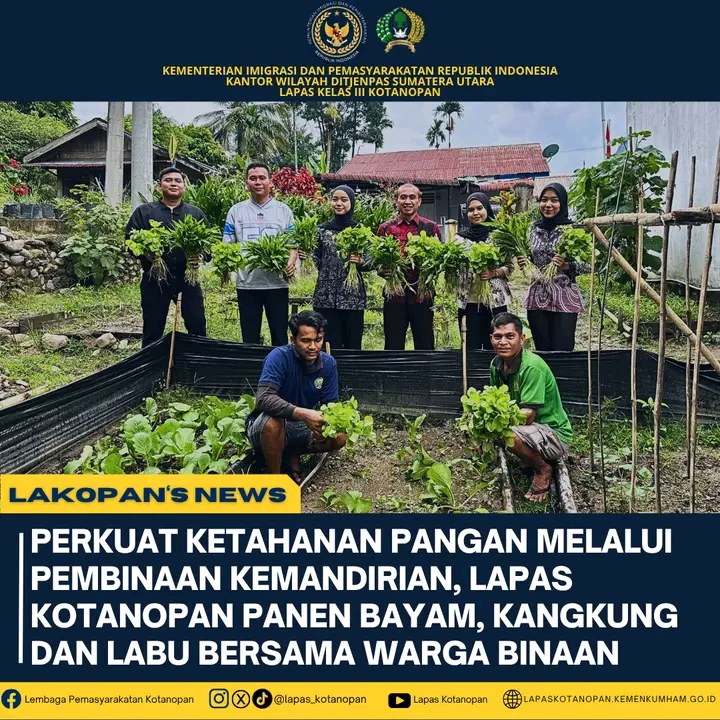 Lapas Kotanopan Berhasil Panen Sayuran, Warga Binaan Makin Produktif dan Mandiri