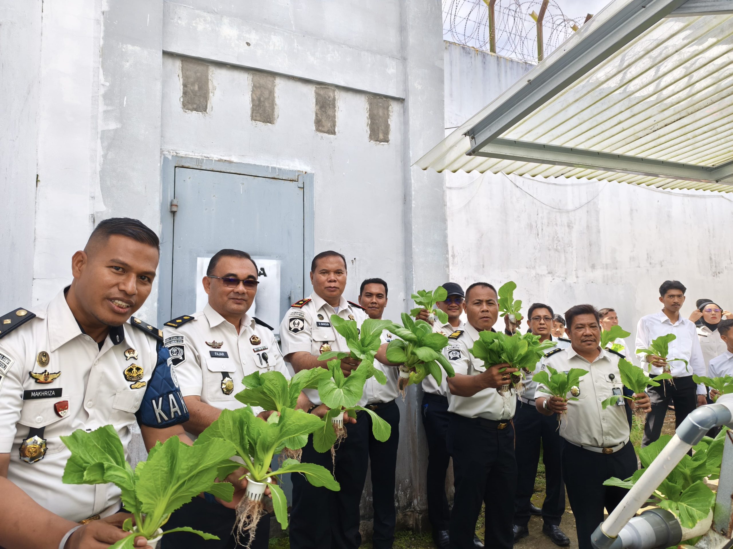 Panen Raya Pakcoy Hidroponik, Lapas Gunungsitoli Dorong Ketahanan Pangan Berkelanjutan