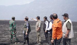 https://bintasara.com/Karhutla Bromo