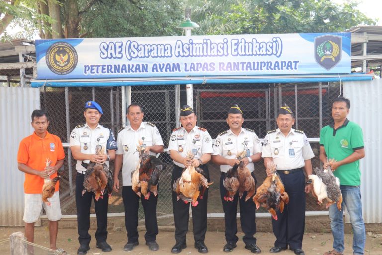 Lapas Rantauprapat Panen Raya 50 Ekor Ayam Kampung Hasil Budidaya Mandiri di SAE