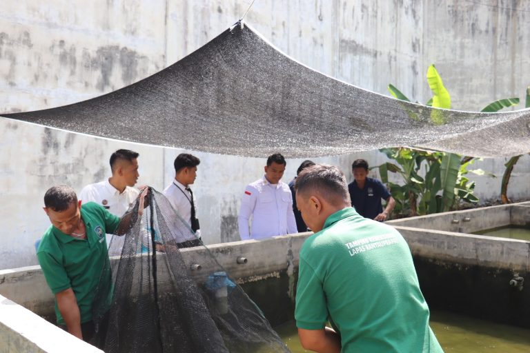 Lapas Rantauprapat Optimalkan Ketahanan Pangan Lewat Budidaya Lele