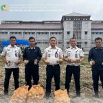 Rutan Humbang Hasundutan Panen Kentang, Wujud Nyata Program Kemandirian Warga Binaan