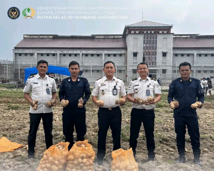 Rutan Humbang Hasundutan Panen Kentang, Wujud Nyata Program Kemandirian Warga Binaan