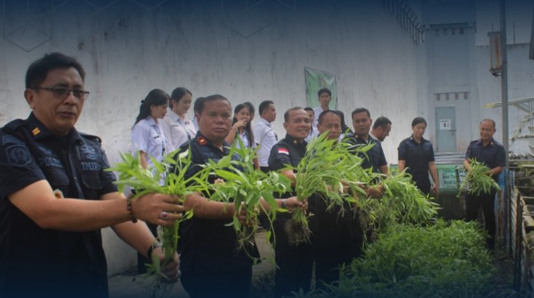 Panen Raya Kangkung dan Sawi, Lapas Gunungsitoli Optimalkan Lahan Produktif